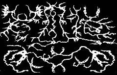 logo Gesuidou Dragon